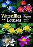 Waterlilies And Lotuses Species Cultivars And New Hybrids