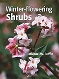 Winterflowering Shrubs
