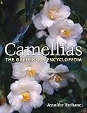 Camellias The Gardeners Encyclopedia