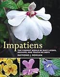 Impatiens The Vibrant World Of Busy Lizzies Balsams And Touchmenots