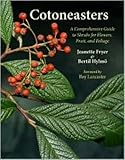 Cotoneasters A Comprehensive Guide To Shrubs For Flowers Fruit And Foliage