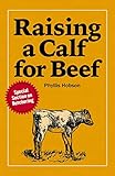 Raising A Calf For Beef