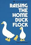 Raising the Home Duck Flock