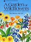A Garden of Wildflowers: 101 Native Species and How to Grow Them
