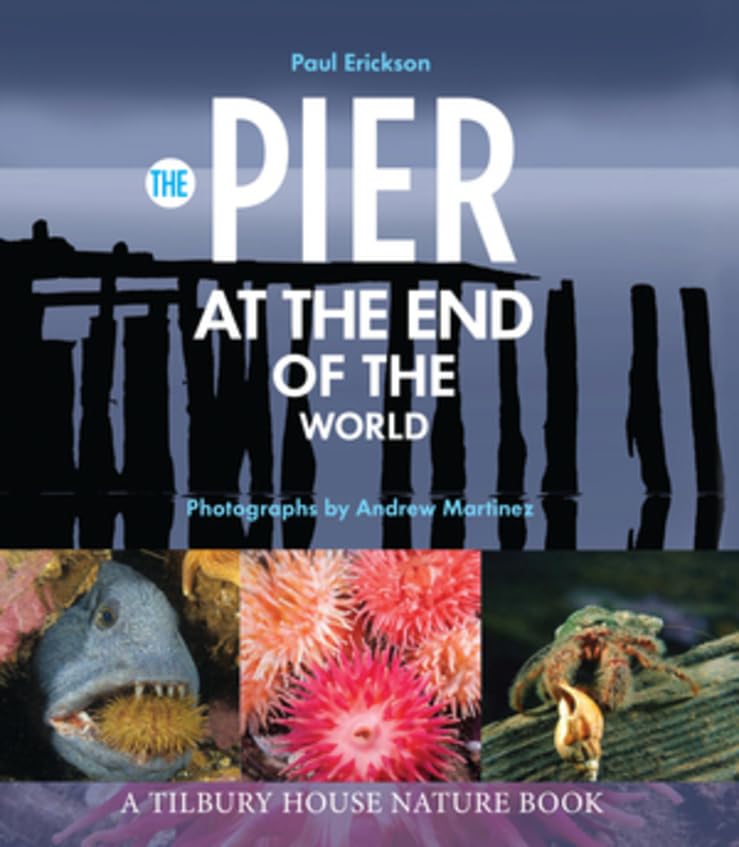 Cover of Pier at the End of the World