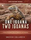 One Iguana, Two Iguanas: A Story of Accident, Natural Selection, and Evolution