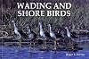 Wading and shore birds