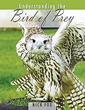 Understanding The Bird Of Prey