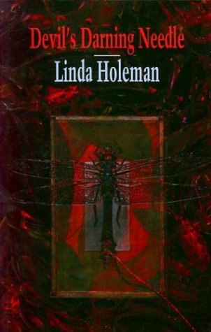 Devil's Darning Needle book cover