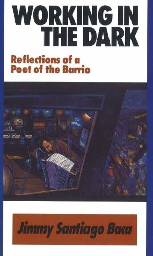 Working in the Dark book cover