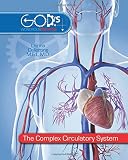 The Complex Circulatory System Gods Wondrous Machine