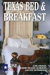Texas Bed & Breakfast (Lone Star Guides)