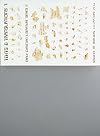 The Life of Pachomius: Vita Prima Graeca (TEXTS AND TRANSLATIONS) (English and Greek Edition)
