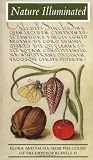 Nature Illuminated Flora And Fauna From The Court Of Emperor Rudolf Ii Getty Trust Publications J Paul Getty Museum