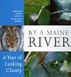By a Maine River: A Year of Looking Closely