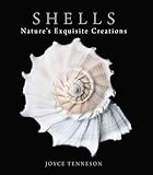 Shells: Nature's Exquisite Creations