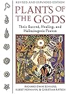 Plants of the Gods: Their Sacred, Healing, and Hallucinogenic Powers - Richard Evans Schultes
