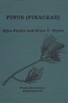 Pinus (Pinaceae)