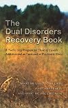The Dual Disorders Recovery Book
