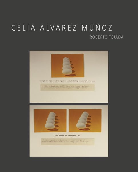 Celia Alvarez Muñoz book cover