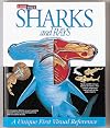 Sharks and Rays: A Unique First Visual Reference