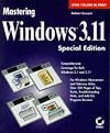 Mastering Windows 3.1