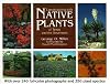 Landscaping with Native Plants of Texas and the Southwest (Natural World)