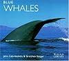 Blue Whales (WorldLife Library)