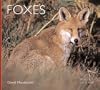 Foxes (Worldlife Library)