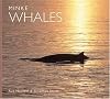 Minke Whales (WorldLife Library)