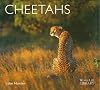 Cheetahs (Worldlife Library)