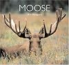 Moose (World Life Library)