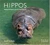 Hippos: Natural History & Conservation