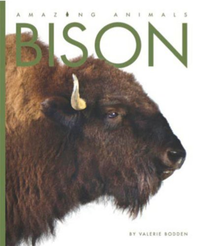 Cover of Amazing Animals