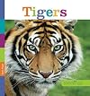 Tigers (Seedlings)