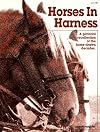 Horses in harness