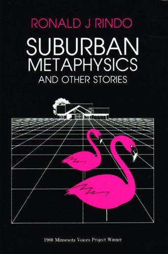 Suburban Metaphysics book cover