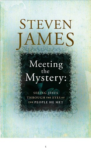 Meeting the Mystery book cover