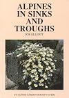 Alpines in Sinks and Troughs