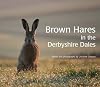 Brown Hares in the Derbyshire Dales