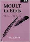 Moult in birds (BTO guide) (BTO Guides)