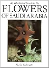 An illustrated guide to the flowers of Saudi Arabia