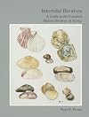 Intertidal bivalves : a guide to the common marine bivalves of Alaska