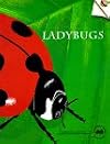 Ladybugs