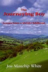 The Journeying Boy: Scenes from a Welsh Childhood (Traveler)