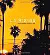 L.A. Rising, SoCal Artists Before 1980