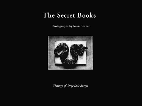 The Secret Books book cover
