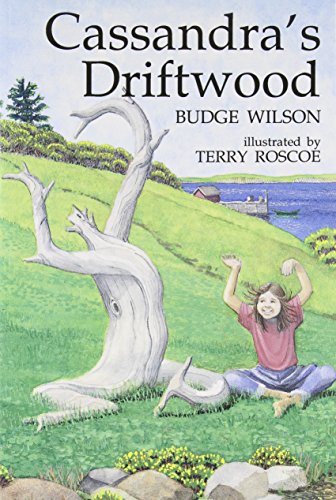 Cassandra's Driftwood book cover