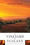 A Vineyard in Tuscany: A Wine Lover’s Dream