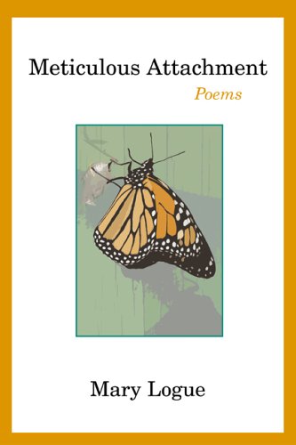 Meticulous Attachment book cover